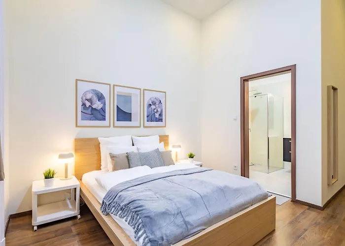 公寓 - New - Large 布达佩斯